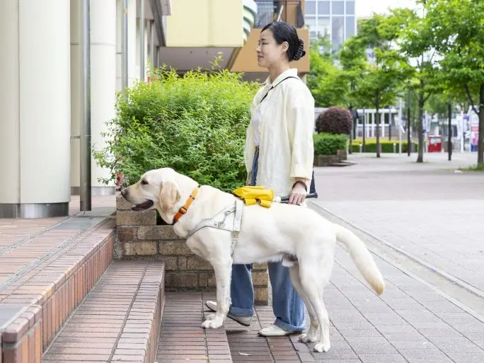 段差で止まる