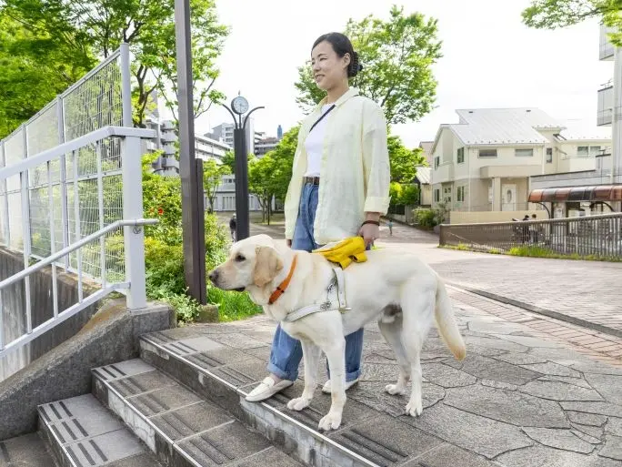 段差で止まる