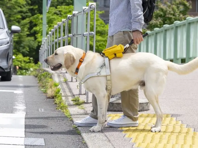 段差で止まる